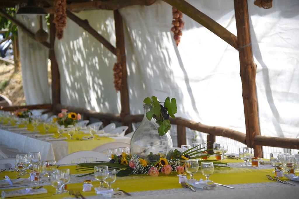 Agriturismo Primaluce Sorrento Bagian luar foto