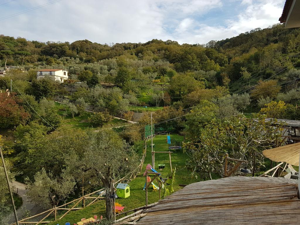 Agriturismo Primaluce Sorrento Bagian luar foto